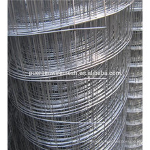 Precio competitivo galvanizado soldado malla de alambre ISO9001 fábrica